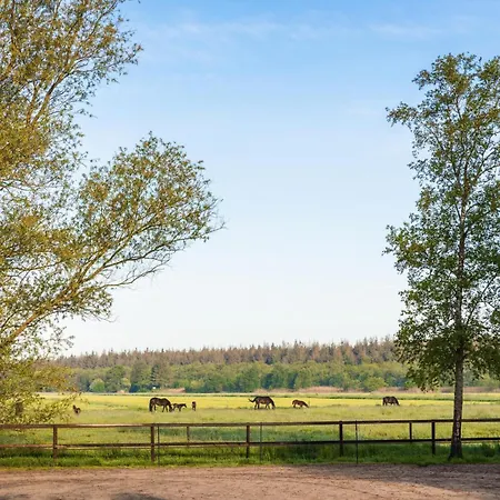 Stuhrberg Holiday home